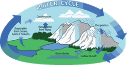 Figure: Stages of the Water Cycle. Image credit: NASA, public domain.